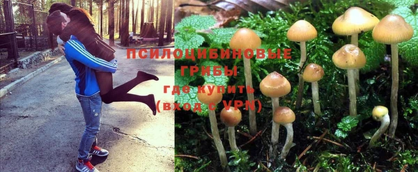 тгк Нея