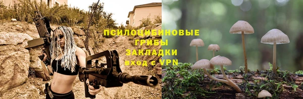 дурь Нефтекумск