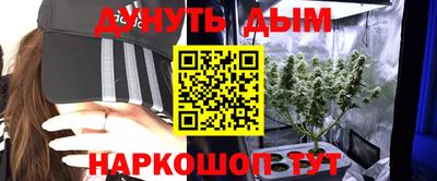 твердый Бийск