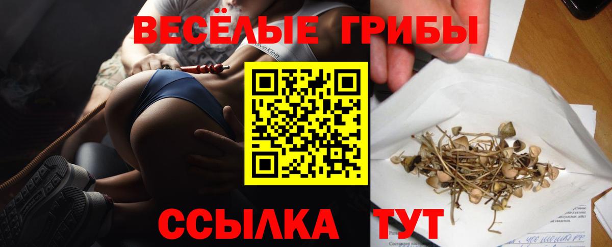 Псилоцибиновые грибы Cubensis Нарьян-Мар